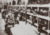January 27, 1945 - Women who had been left behind at Birkenau.