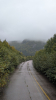 Abandoned Road.